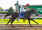 My Conquestadory Latest OBS Success for Casse My Conquestadory Latest OBS Success for Casse