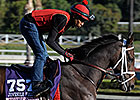 Grade I Winner My Conquestadory Retired Grade I Winner My Conquestadory Retired