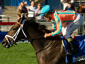 Keeneland's Darley Alcibiades is Wide Open Keeneland's Darley Alcibiades is Wide Open