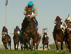 Filly My Conquestadory Dazzles in Summer Bow Filly My Conquestadory Dazzles in Summer Bow