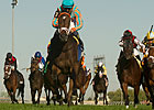 Filly My Conquestadory Dazzles in Summer Bow Filly My Conquestadory Dazzles in Summer Bow