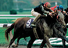 Champion Producer My Flag Dies at Claiborne Champion Producer My Flag Dies at Claiborne