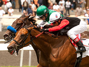Who Will Step Forward in Royal Heroine Mile? Who Will Step Forward in Royal Heroine Mile?