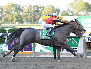 My Jen Plucks Gallant Bloom in 12-1 Surprise My Jen Plucks Gallant Bloom in 12-1 Surprise
