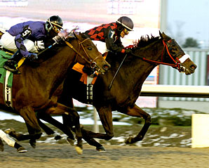 My List Rallies For Bessarabian Win My List Rallies For Bessarabian Win