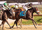 13 for Maryland Juvenile Filly Championship 13 for Maryland Juvenile Filly Championship