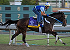 My Miss Aurelia in Ladies' Classic Breeze My Miss Aurelia in Ladies' Classic Breeze