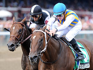 Luck Smiles On My Miss Aurelia in Adirondack Luck Smiles On My Miss Aurelia in Adirondack