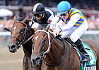 Luck Smiles On My Miss Aurelia in Adirondack Luck Smiles On My Miss Aurelia in Adirondack