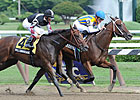 My Miss Aurelia, 'Maria Battle in Frizette My Miss Aurelia, 'Maria Battle in Frizette