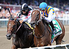 Asmussen Works Six Breeders' Cup Contenders Asmussen Works Six Breeders' Cup Contenders