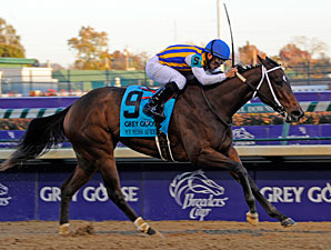 My Miss Aurelia Lives Up to Expectations My Miss Aurelia Lives Up to Expectations