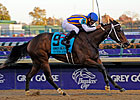 Favored My Miss Aurelia Wins Juvenile Fillies Favored My Miss Aurelia Wins Juvenile Fillies
