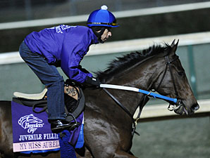 My Miss Aurelia Choice in Juvenile Fillies My Miss Aurelia Choice in Juvenile Fillies