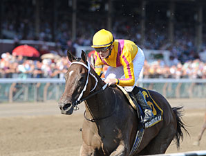 My Miss Aurelia Breezes, Doubtful for Test My Miss Aurelia Breezes, Doubtful for Test