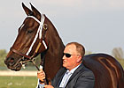 My Miss Aurelia Entered at Belmont Oct. 24 My Miss Aurelia Entered at Belmont Oct. 24