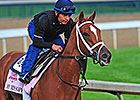 My Miss Sophia Standout of Three-Horse String My Miss Sophia Standout of Three-Horse String