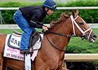 Kentucky Oaks Graduates Seek Acorn Redemption Kentucky Oaks Graduates Seek Acorn Redemption