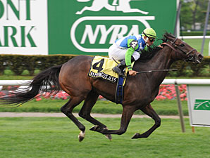 My Princess Jess Wins Beaugay in 2009 Debut My Princess Jess Wins Beaugay in 2009 Debut
