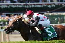 My Typhoon Rolls Into Breeders' Cup My Typhoon Rolls Into Breeders' Cup