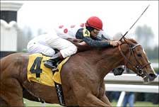 Diana Stakes Looks M-M-M-M-M Good Diana Stakes Looks M-M-M-M-M Good