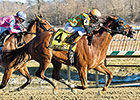 My Wandy's Girl Fights for Fritchie Score My Wandy's Girl Fights for Fritchie Score