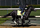 Mylute's Steady Work No Problem for Amoss
