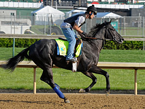 Mylute Confirmed for Preakness Stakes Mylute Confirmed for Preakness Stakes