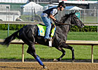 Mylute Confirmed for Preakness Stakes