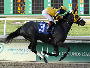 Mylute, Derby Contenders Arrive at Churchill Mylute, Derby Contenders Arrive at Churchill