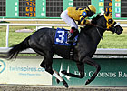 Mylute, Derby Contenders Arrive at Churchill Mylute, Derby Contenders Arrive at Churchill