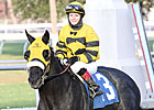 Preakness is Napravnik's Homecoming Preakness is Napravnik's Homecoming