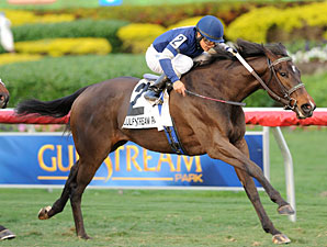 Filly Mystic Love Beats Boys in Dania Beach Filly Mystic Love Beats Boys in Dania Beach