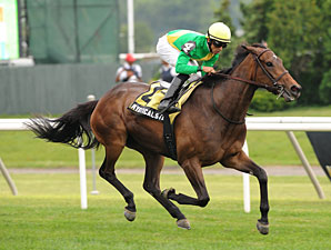 Mystical Star Gets Revenge in New York Stakes Mystical Star Gets Revenge in New York Stakes