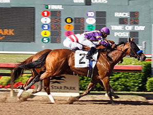 Mythical Power, Wasted Tears Top Texas Card Mythical Power, Wasted Tears Top Texas Card