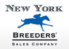 New York Sale Goes on One-Year Hiatus New York Sale Goes on One-Year Hiatus