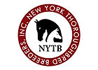 NYTB Online Seasons Auction Set for January NYTB Online Seasons Auction Set for January