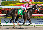 Mucho Betting Opportunities