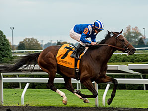 Najjaar Takes Down Sycamore Stakes Najjaar Takes Down Sycamore Stakes