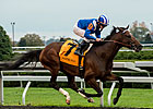 Najjaar Takes Down Sycamore Stakes Najjaar Takes Down Sycamore Stakes