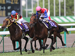 Racing Resumes at Two Tracks in Japan Racing Resumes at Two Tracks in Japan