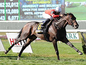 Naples Bay Sails Home in Noble Damsel Stakes Naples Bay Sails Home in Noble Damsel Stakes