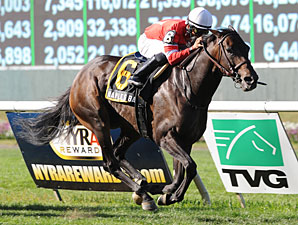 Naples Bay Tops Grade III My Charmer Naples Bay Tops Grade III My Charmer