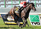 Naples Bay Tops Grade III My Charmer Naples Bay Tops Grade III My Charmer