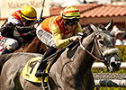 Nashoba's Gold Takes Next Step in Honeymoon Nashoba's Gold Takes Next Step in Honeymoon
