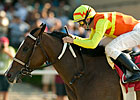 Nashoba's Key Horse of Year in CA