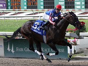 Nates Mineshaft Out of Hawthorne Gold Cup Nates Mineshaft Out of Hawthorne Gold Cup