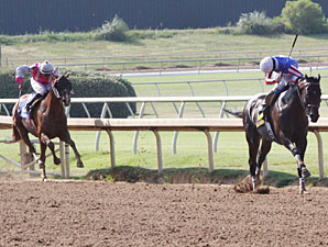 Handle, Attendance Declines at Lone Star Park Handle, Attendance Declines at Lone Star Park