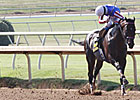 Handle, Attendance Declines at Lone Star Park Handle, Attendance Declines at Lone Star Park