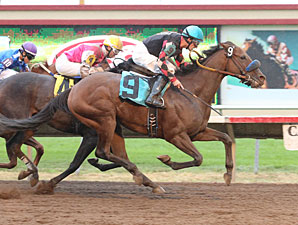 Canterbury Park Wraps Up Successful Season Canterbury Park Wraps Up Successful Season